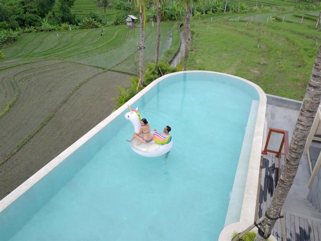 Swimming pool at Astera Canggu