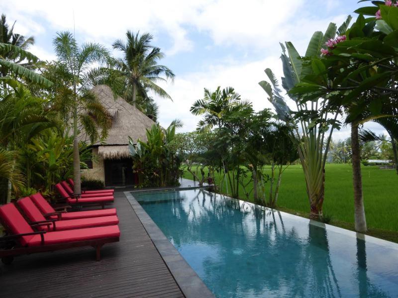 Private pool with view at Bali Harmony Villa
