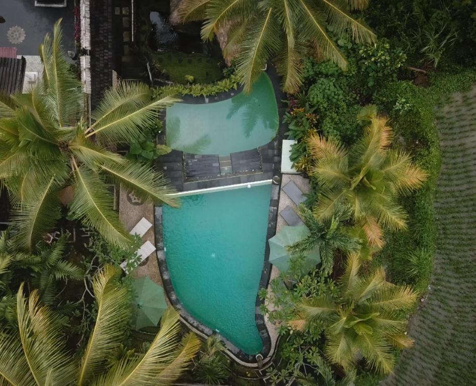 Garden view with swimming pool at Junjungan Suite