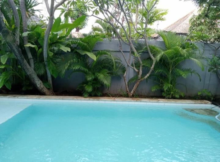 Swimming pool at  Villa Oceana 
