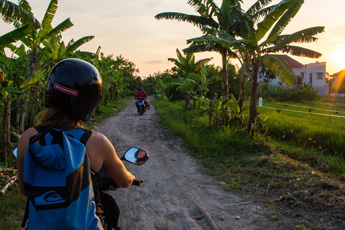 Tourist in rice fields