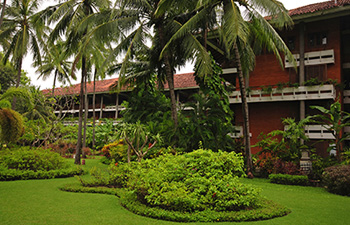 Hotel with spacious garden and palm trees in Lovina