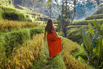 Woman in an orange dress walking through rice fields
