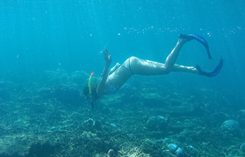 Snorkeler swimming above coral reef in crystal-clear water