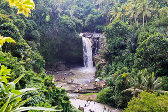 Waterfall cascading into a rocky pool in a lush jungle