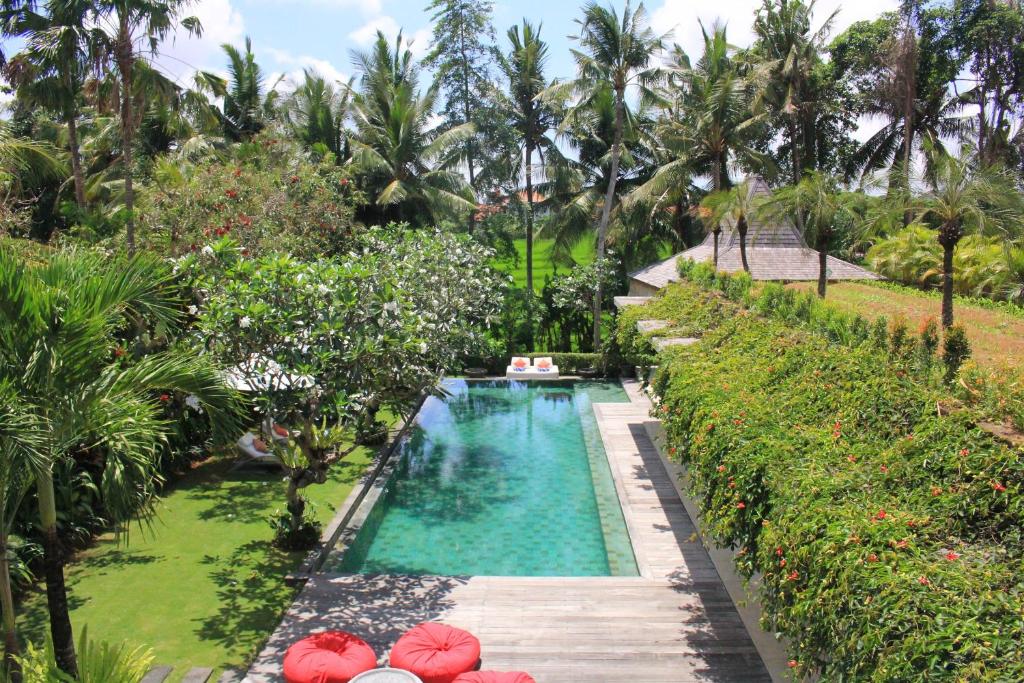 villa sally pool 1