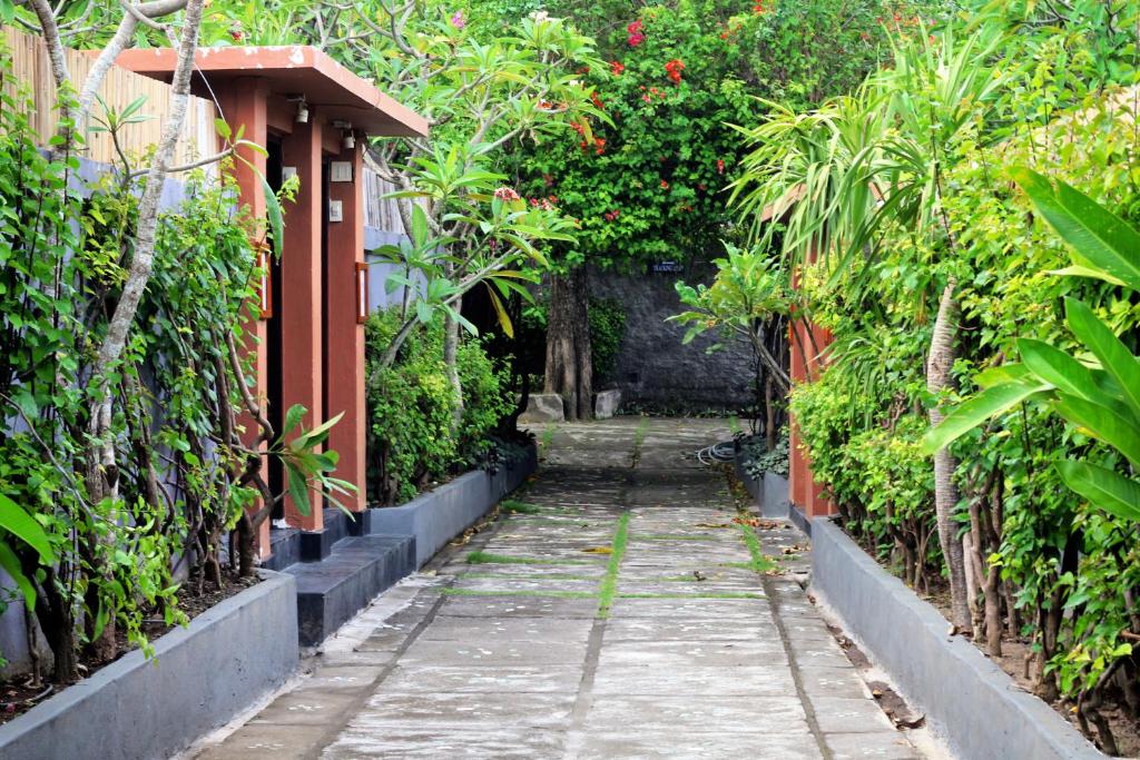lavender villa garden pathway