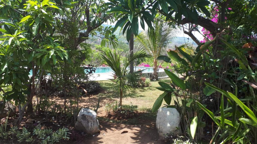 lovina paradise garden path