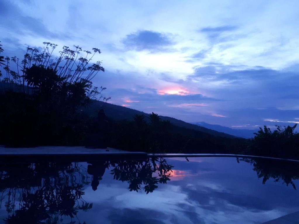 lovina paradise sunset pool