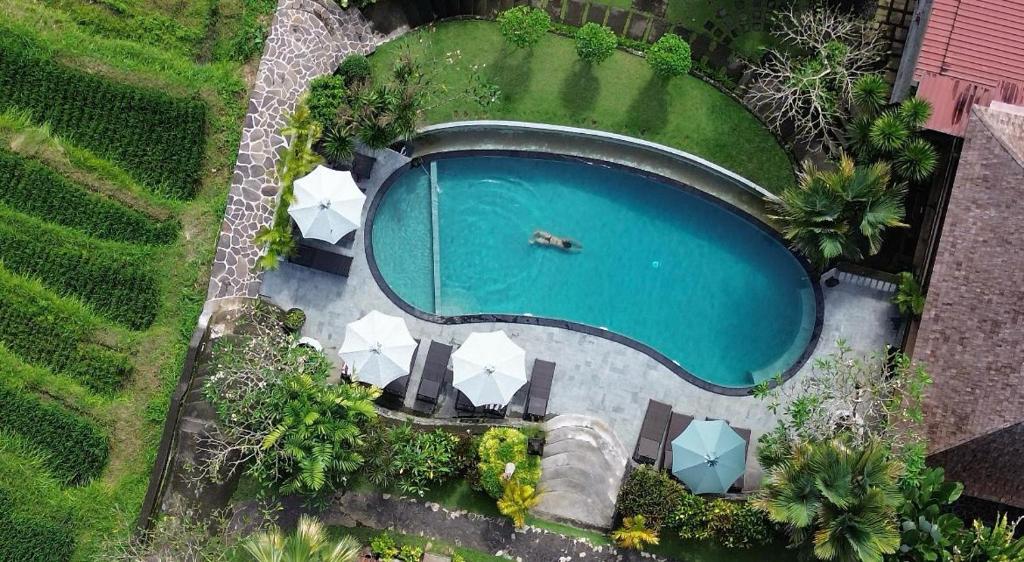 abian villas pool4