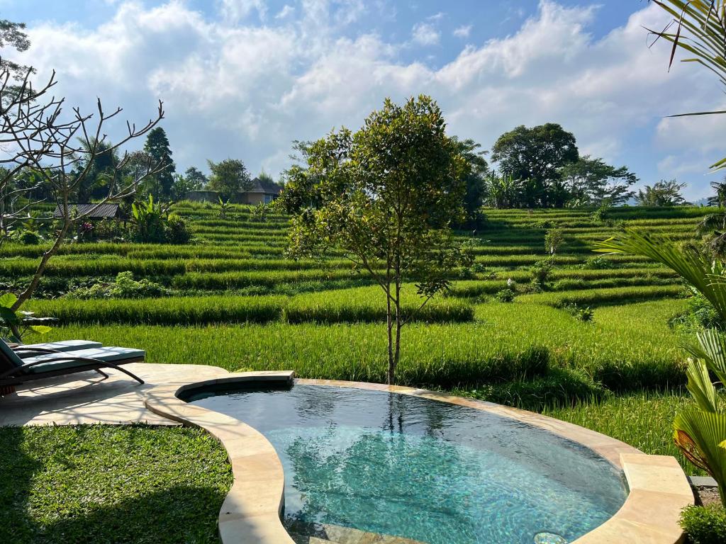 abian villas pool5